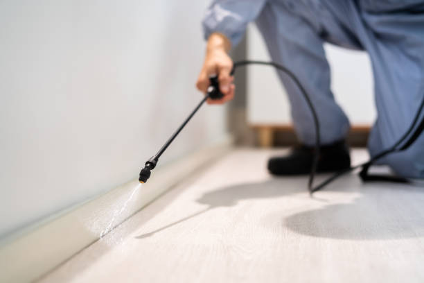 Bed Bug Pre-Treatment Preparation Assessment in Cloquet