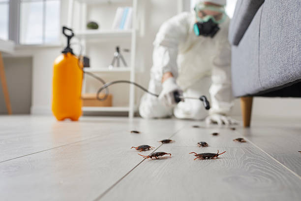 Post-Treatment Bed Bug Interceptor Monitoring in Cloquet